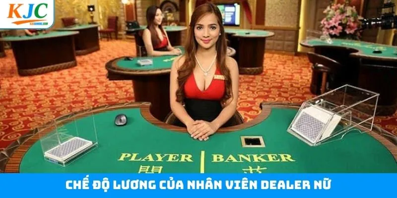 Lương thưởng và phúc lợi đặc biệt cho nhân viên dealer nữ Lương thưởng và phúc lợi đặc biệt cho nhân viên dealer nữ