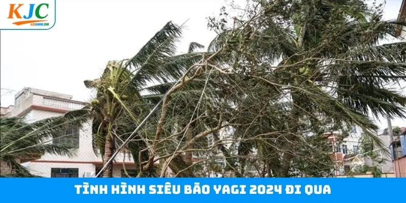 Các điều cần chú ý khi siêu bão Yagi 2024 hoành hành Các điều cần chú ý khi siêu bão Yagi 2024 hoành hành